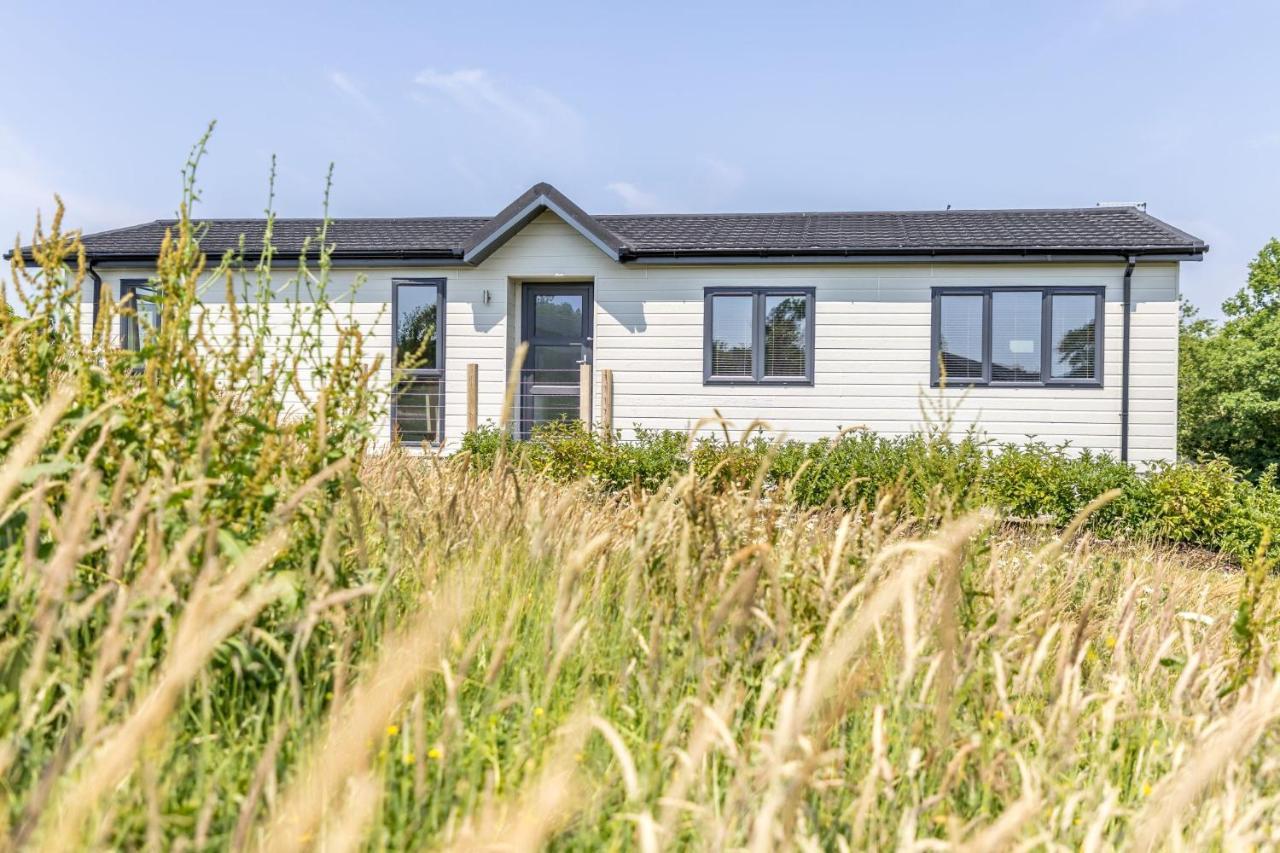 Rose Lodge, 21 Roadford Lake Lodges Lifton Kültér fotó